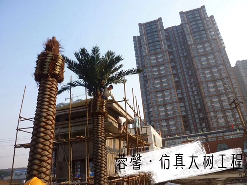 草莓视频污污污下载大树